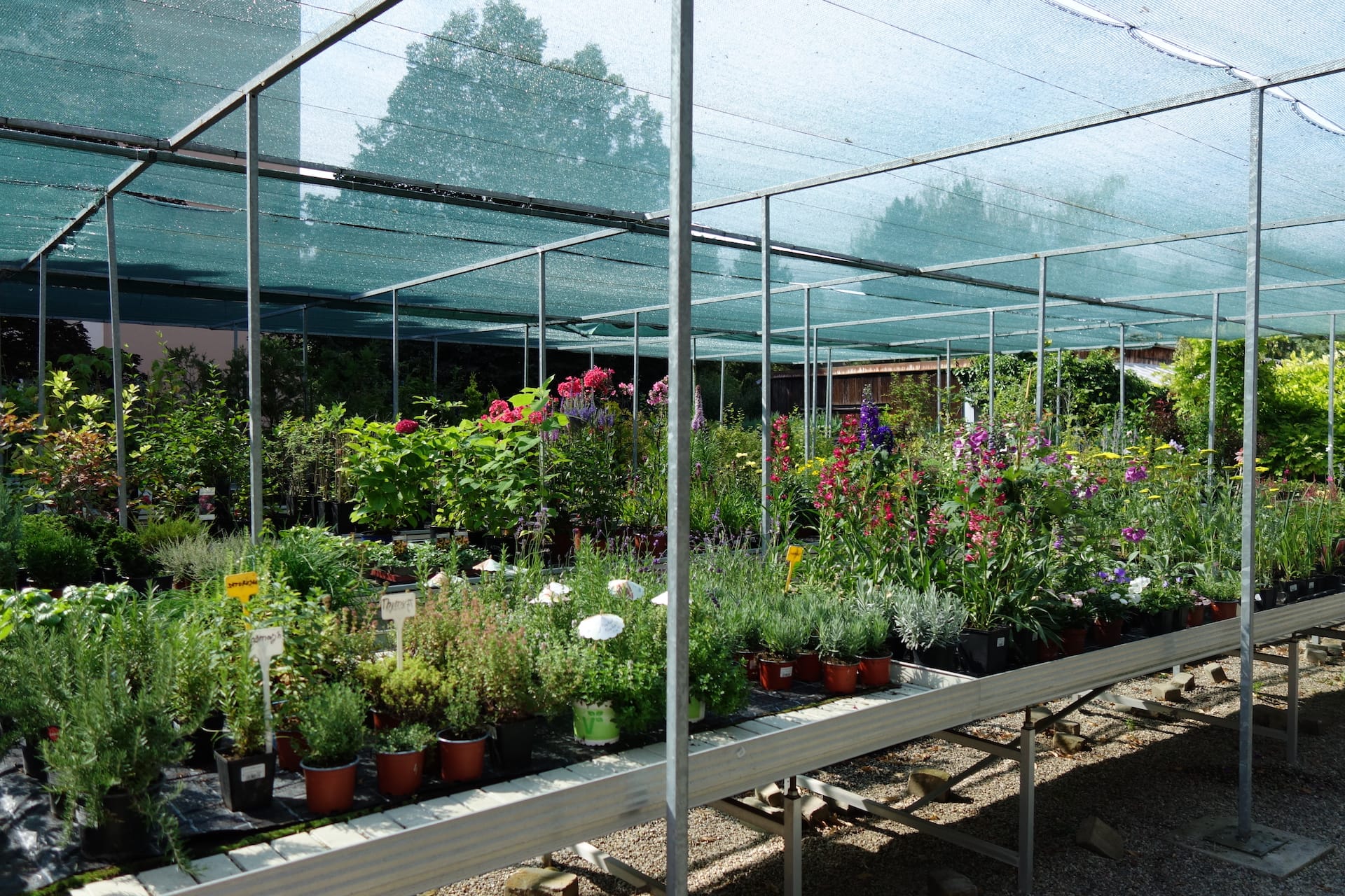 rodinný dům – zahrada Mělnická zeleň, Mělník